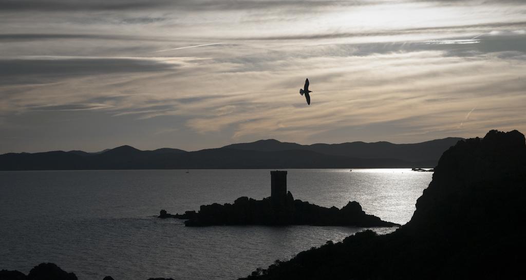 Cap Esterel Garden Flat Сен-Рафаэль Экстерьер фото